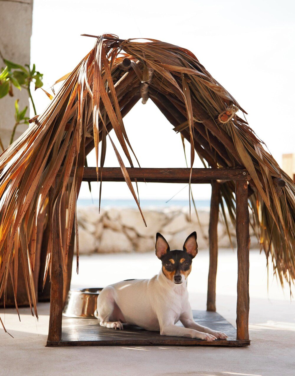 Viceroy Riviera Maya adults-only luxury villa resort on Playa Xcalacoco, photo 6 of 8